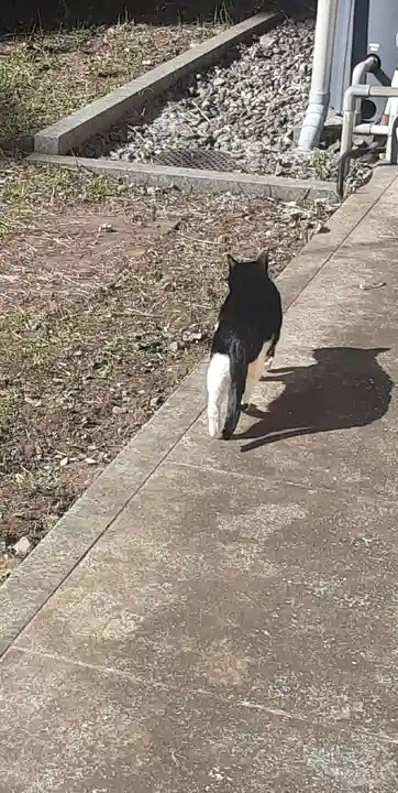 白金氷川神社(東京都)
