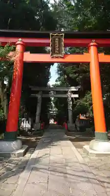 馬橋稲荷神社の鳥居