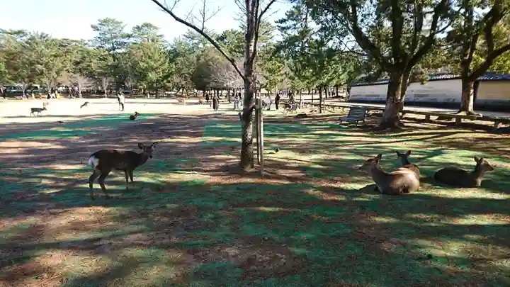 興福寺(奈良県)