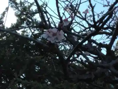 長昌寺(神奈川県)