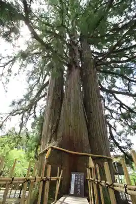 戸隠神社中社(長野県)
