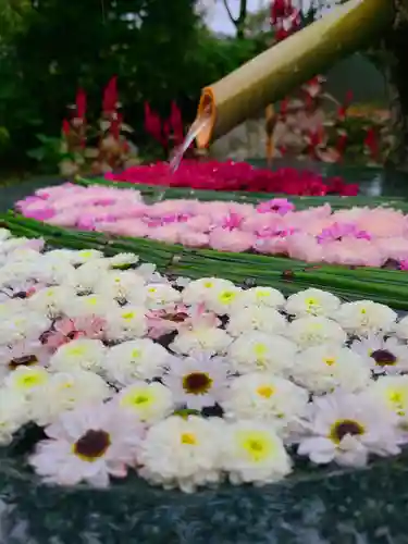 高林寺の手水