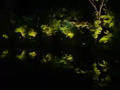 高台寺(高台寿聖禅寺・高臺寺)(京都府)