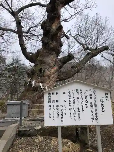 那須温泉神社の{uncategorized: "未分類", other: "その他", undefined: "問題あり", building: "その他建物", grave: "お墓", sacred_gate: "鳥居", guardian: "狛犬", statue: "像", buddha: "仏像", history: "歴史", nature: "自然", garden: "庭園", animal: "動物", pagoda: "塔", temizu: "手水舎", mountain_gate: "山門・神門", sanctuary: "本殿・本堂", subordinate: "末社・摂社", art: "芸術", scenery: "景色", jizo: "地蔵", ema: "絵馬", goshuin: "御朱印", omikuji: "おみくじ", items: "授与品その他", amulet: "お守り", goshuincho: "御朱印帳", eats: "食事", festival: "お祭り", votive_dance: "神楽", shichigosan: "七五三参", wedding: "結婚式", experience: "体験その他", initially: "初詣", around: "周辺", anti_infection: "感染症対策"}