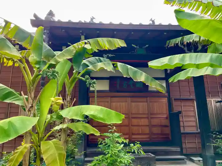 洞雲寺(東京都)