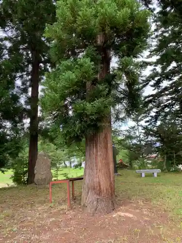 日本芸能神社の{uncategorized: "未分類", other: "その他", undefined: "問題あり", building: "その他建物", grave: "お墓", sacred_gate: "鳥居", guardian: "狛犬", statue: "像", buddha: "仏像", history: "歴史", nature: "自然", garden: "庭園", animal: "動物", pagoda: "塔", temizu: "手水舎", mountain_gate: "山門・神門", sanctuary: "本殿・本堂", subordinate: "末社・摂社", art: "芸術", scenery: "景色", jizo: "地蔵", ema: "絵馬", goshuin: "御朱印", omikuji: "おみくじ", items: "授与品その他", amulet: "お守り", goshuincho: "御朱印帳", eats: "食事", festival: "お祭り", votive_dance: "神楽", shichigosan: "七五三参", wedding: "結婚式", experience: "体験その他", initially: "初詣", around: "周辺", anti_infection: "感染症対策"}