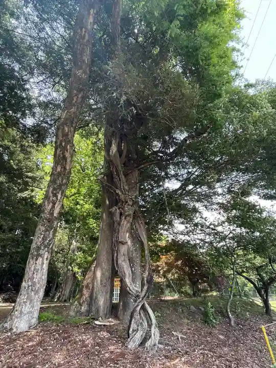 津島神社(岐阜県)