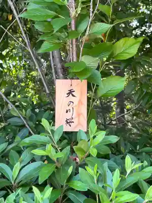 櫻木神社(千葉県)
