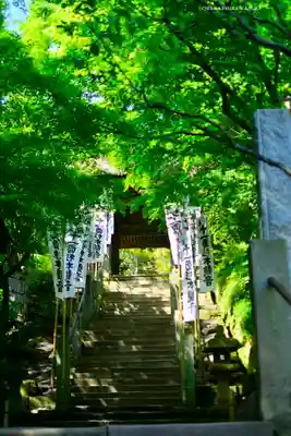 杉本寺(神奈川県)