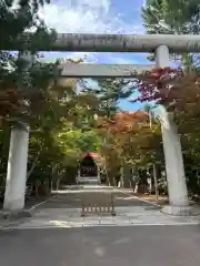 遠軽神社の鳥居