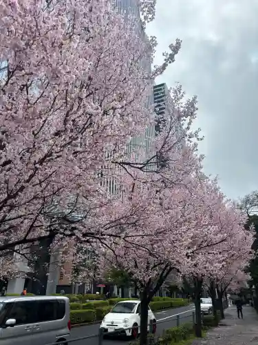 東京大神宮(東京都)