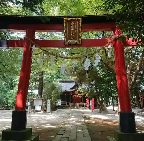 氷川女體神社の鳥居