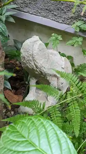 五十稲荷神社(栄寿稲荷神社)の狛犬