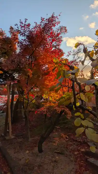 真宗院(京都府)