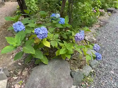 頼光寺(兵庫県)