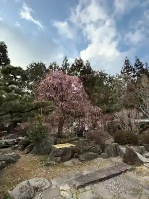 石光寺の{uncategorized: "未分類", other: "その他", undefined: "問題あり", building: "その他建物", grave: "お墓", sacred_gate: "鳥居", guardian: "狛犬", statue: "像", buddha: "仏像", history: "歴史", nature: "自然", garden: "庭園", animal: "動物", pagoda: "塔", temizu: "手水舎", mountain_gate: "山門・神門", sanctuary: "本殿・本堂", subordinate: "末社・摂社", art: "芸術", scenery: "景色", jizo: "地蔵", ema: "絵馬", goshuin: "御朱印", omikuji: "おみくじ", items: "授与品その他", amulet: "お守り", goshuincho: "御朱印帳", eats: "食事", festival: "お祭り", votive_dance: "神楽", shichigosan: "七五三参", wedding: "結婚式", experience: "体験その他", initially: "初詣", around: "周辺", anti_infection: "感染症対策"}