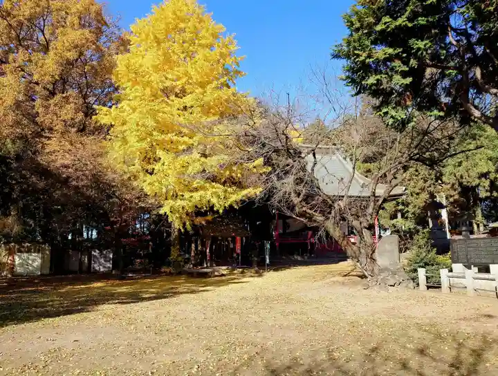 大国神社(群馬県)