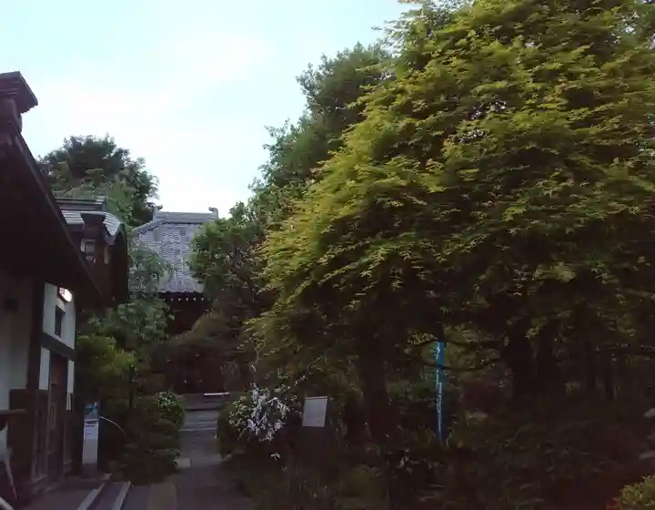 蟠龍寺(東京都)