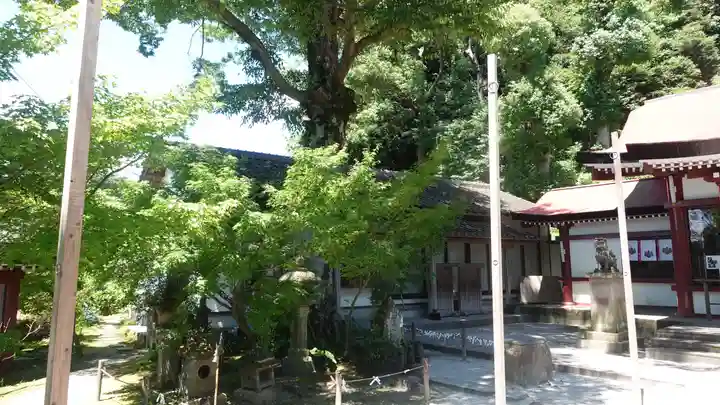 鹿児島神社(鹿児島県)