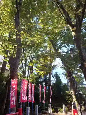 秩父今宮神社(埼玉県)