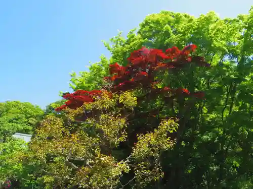 浄妙寺の庭園