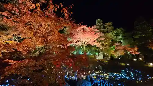 宝厳院(京都府)