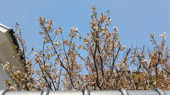 観音寺(大阪府)