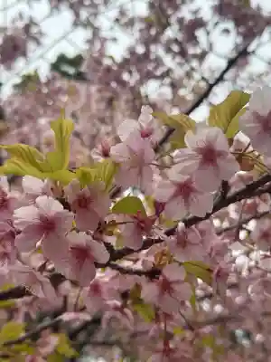 近江神宮(滋賀県)