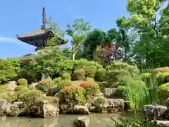 穴太寺の庭園