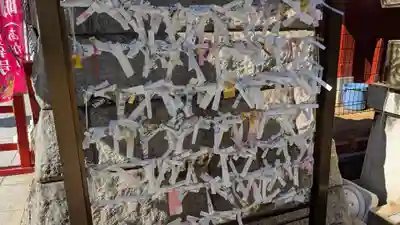 神田神社(神田明神)のおみくじ