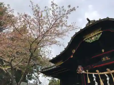 玉前神社の本殿・本堂