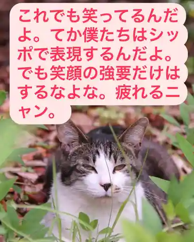 専念寺(大阪府)