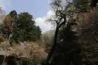 磐椅神社の自然