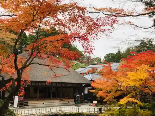 円通院の本殿・本堂