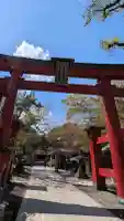 彌彦神社 (伊夜日子神社)の{uncategorized: "未分類", other: "その他", undefined: "問題あり", building: "その他建物", grave: "お墓", sacred_gate: "鳥居", guardian: "狛犬", statue: "像", buddha: "仏像", history: "歴史", nature: "自然", garden: "庭園", animal: "動物", pagoda: "塔", temizu: "手水舎", mountain_gate: "山門・神門", sanctuary: "本殿・本堂", subordinate: "末社・摂社", art: "芸術", scenery: "景色", jizo: "地蔵", ema: "絵馬", goshuin: "御朱印", omikuji: "おみくじ", items: "授与品その他", amulet: "お守り", goshuincho: "御朱印帳", eats: "食事", festival: "お祭り", votive_dance: "神楽", shichigosan: "七五三参", wedding: "結婚式", experience: "体験その他", initially: "初詣", around: "周辺", anti_infection: "感染症対策"}