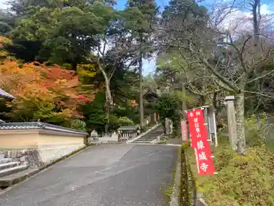 縁城寺(京都府)