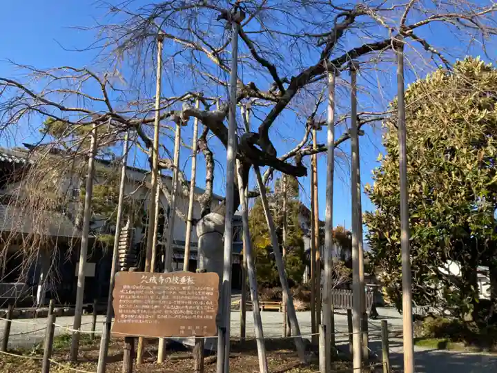 久成寺(静岡県)