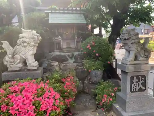 神戸岡神社の狛犬