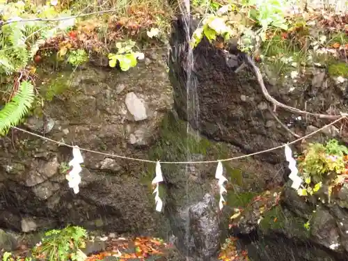 戸隠神社奥社の自然