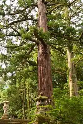 八幡宮(富山県)