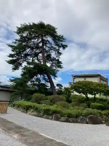 廣見寺(埼玉県)