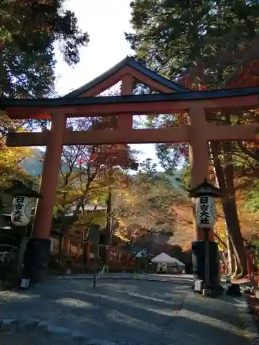 日吉大社の鳥居