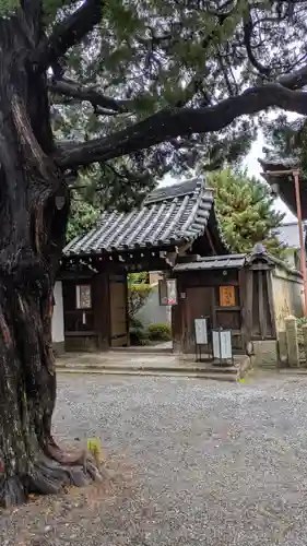 尊陽院(京都府)