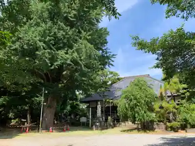 長楽寺(千葉県)