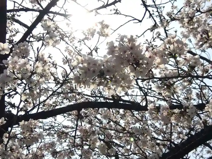 神明宮(愛知県)