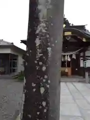 東向八幡宮(群馬県)