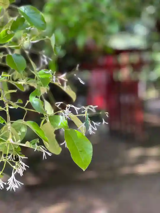 手力雄神社(岐阜県)