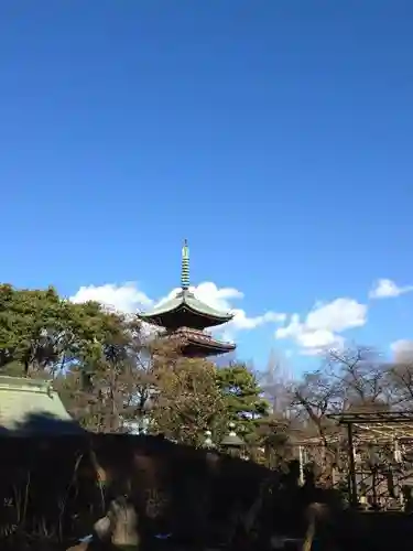 浅草寺の塔