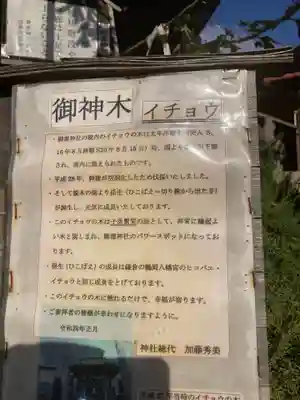 御霊神社(神奈川県)