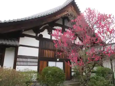 大法院(京都府)